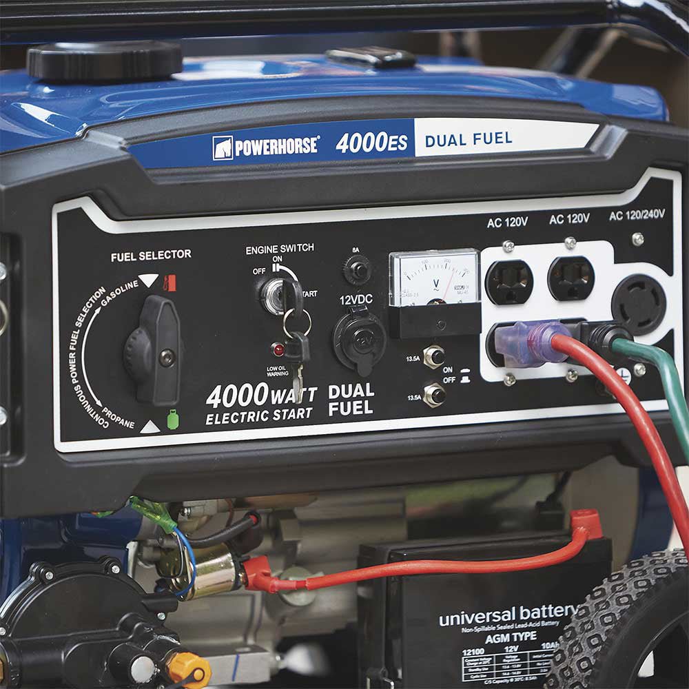 Powerhorse Dual Fuel Generator | 4,000 Surge Watt | Electric Start | 750134