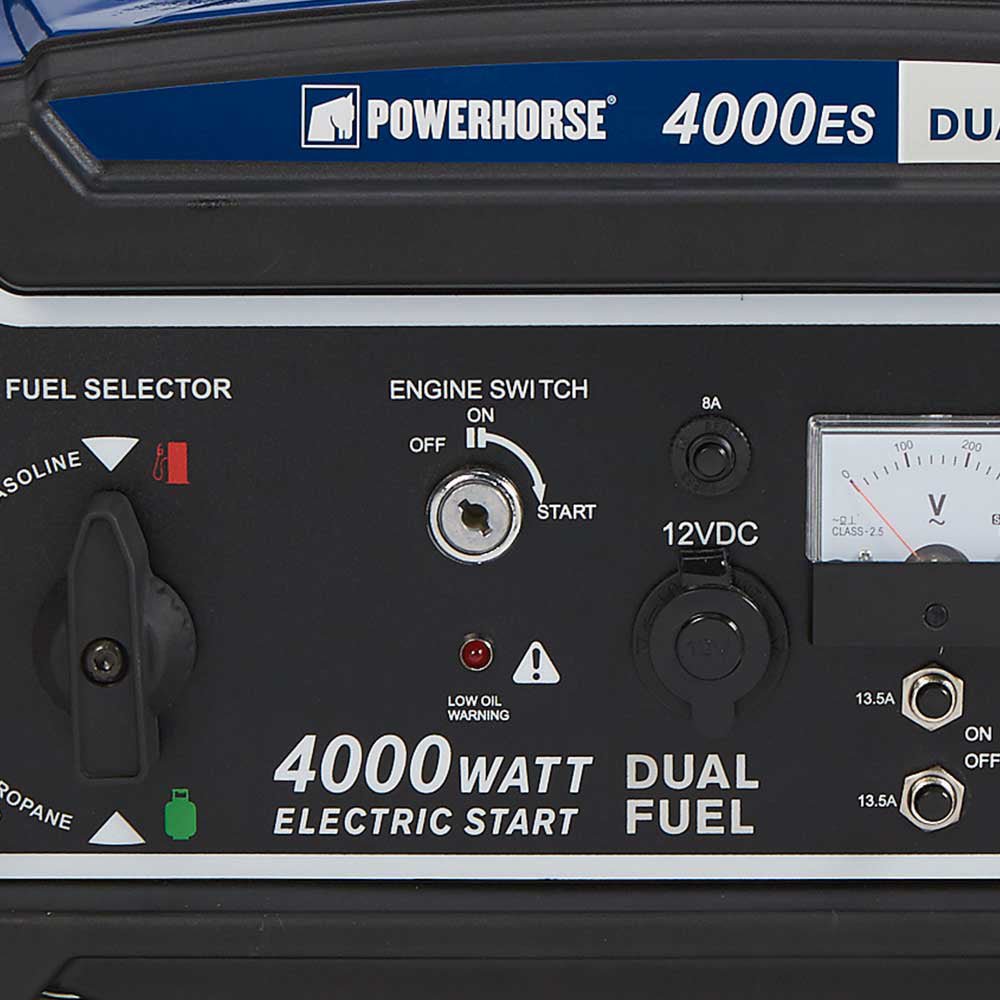 Powerhorse Dual Fuel Generator | 4,000 Surge Watt | Electric Start | 750134